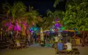 A palm-lined beach bar lit up in blue and pink at night