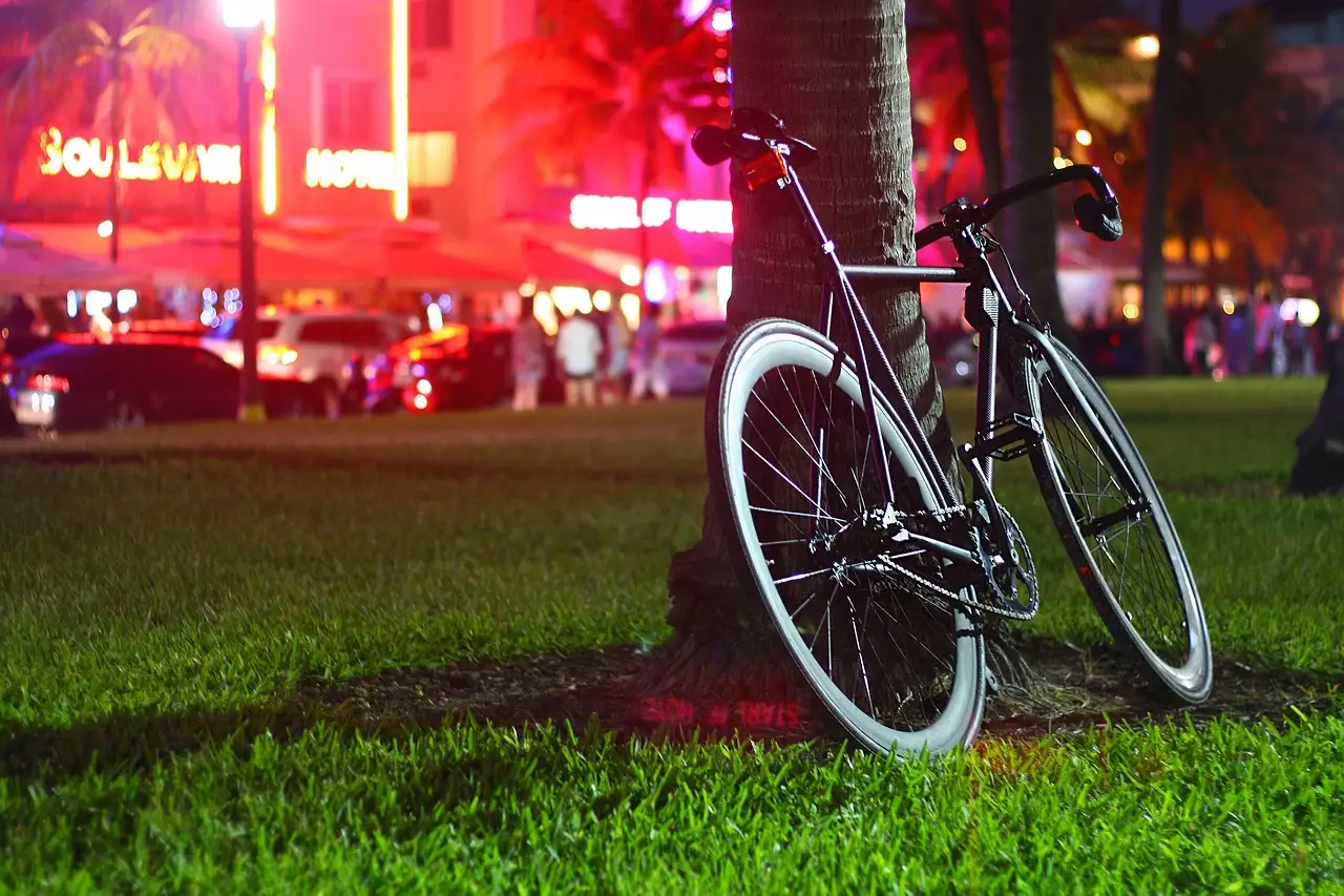 A bicycle against a palm in Lummus Park, with the neon lights of Ocean Drive behind