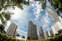 Brickell towers seen from below through palm trees