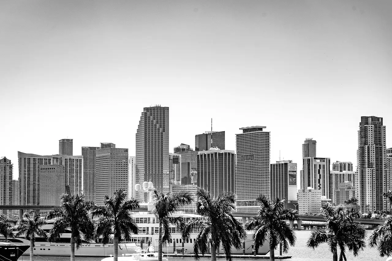 Black-and-white view of the downtown Miami skyline behind palm trees on the bay