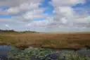 Sawgrass prairie and open water in the Everglades under white clouds