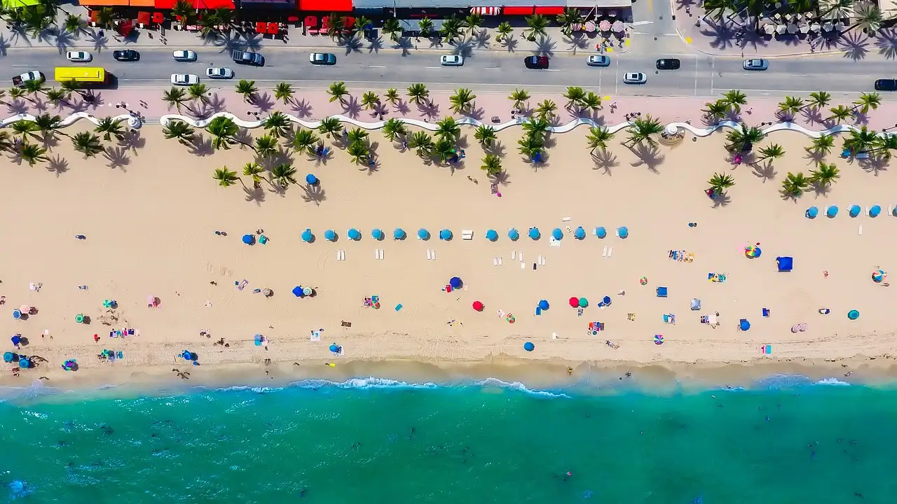 Fort Lauderdale beach from straight above: palms, umbrellas and the shoreline