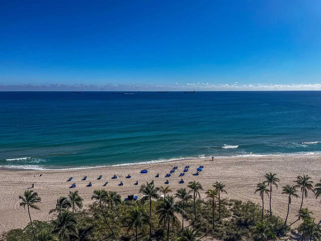 Fort Lauderdale beach with palms, umbrellas and blue sea, seen from above