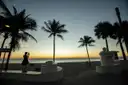 Palm trees silhouetted at sunset on Fort Lauderdale beach