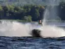 A jet ski rider throwing up a wall of spray