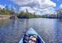 The bow of a kayak on a calm Florida waterway lined with mangroves