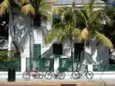 A historic Key West house behind palm trees, with bicycles parked out front