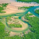 A river winding through mangrove forest, seen from above