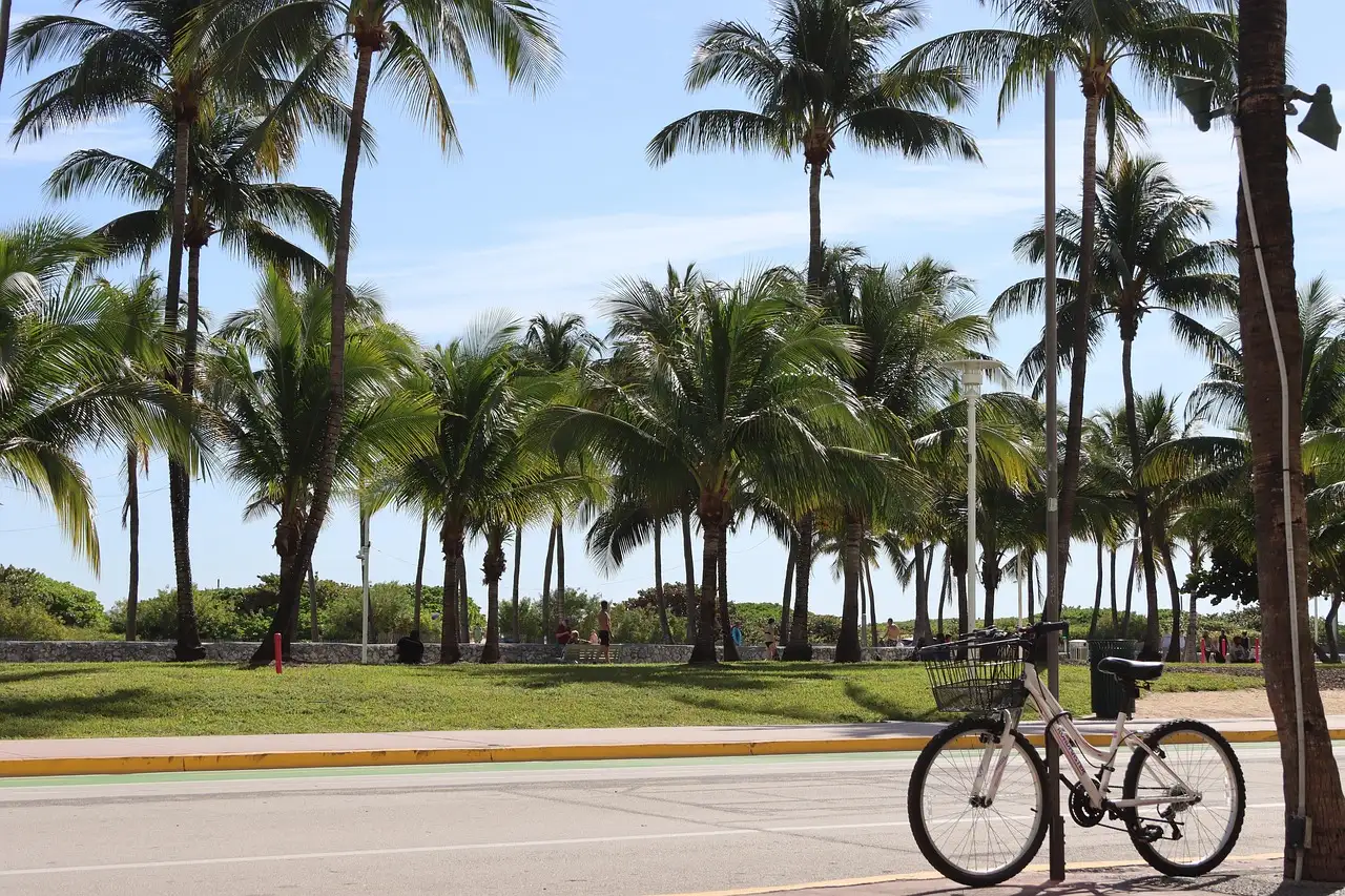 Ocean Drive in Miami Beach: palm trees, a lawn and a bike by the road