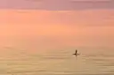 A lone paddleboarder on a pink sunset sea