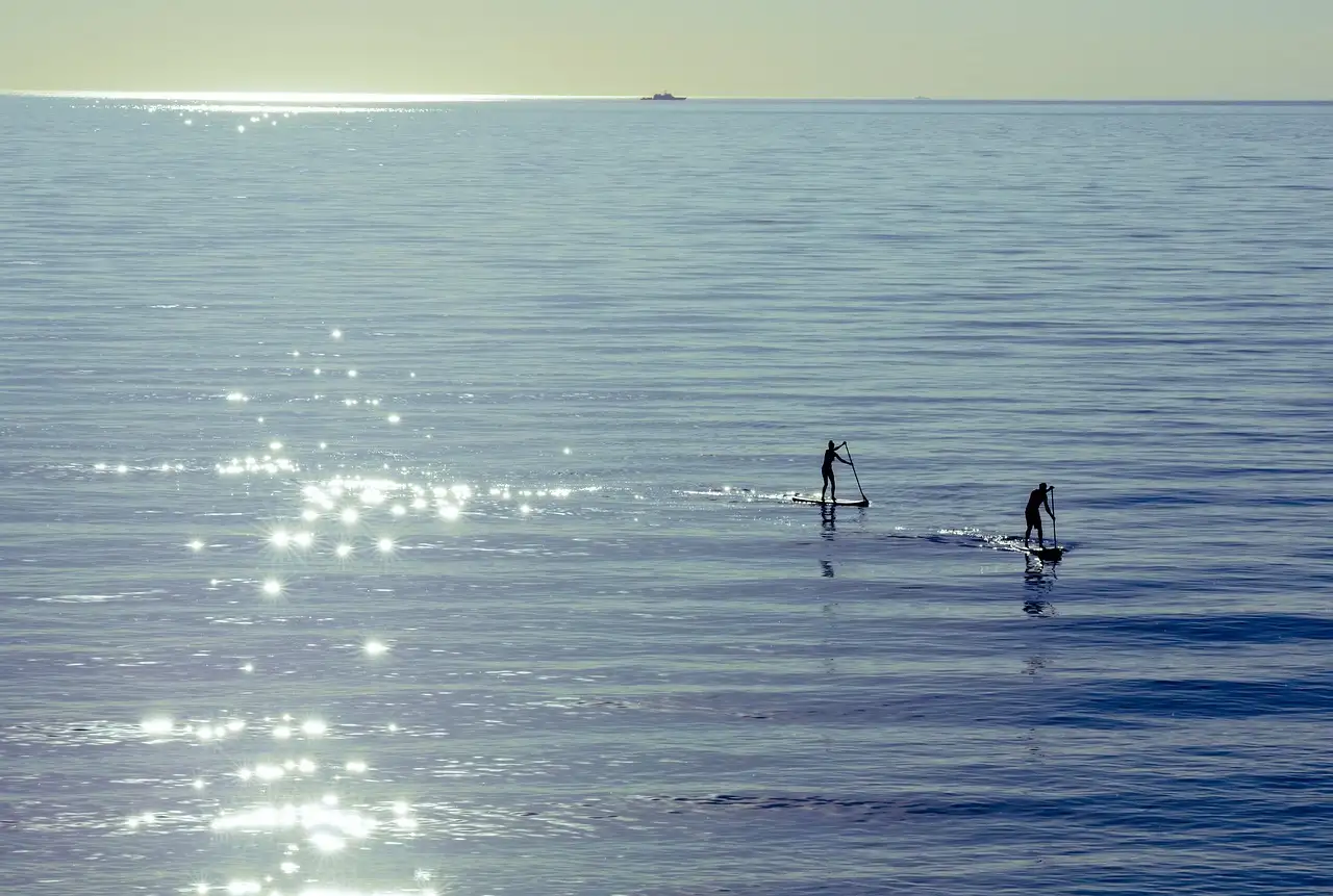 Two paddleboarders far out on a sunlit bay