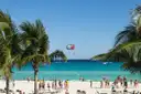 A parasail above a busy palm-lined beach and turquoise sea