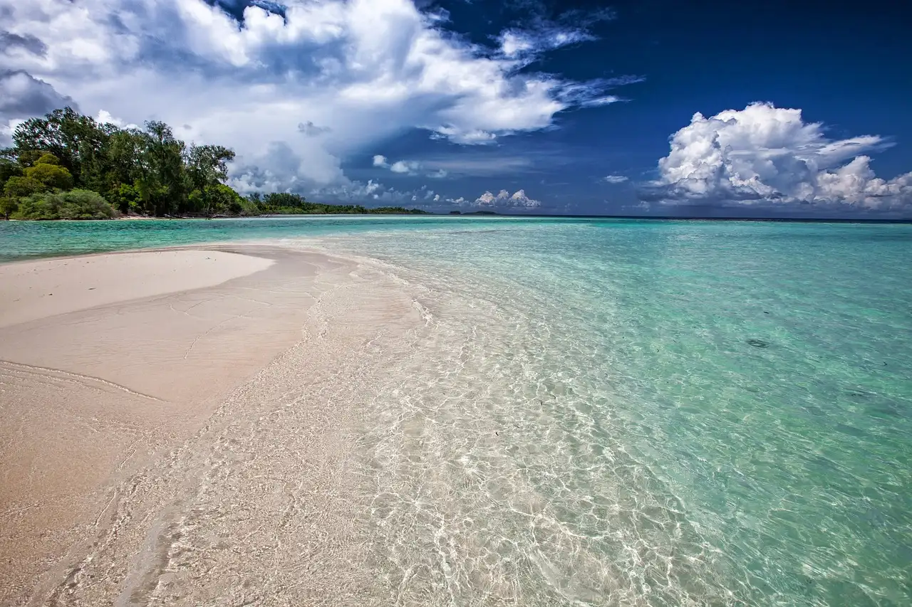 A sandbar in clear shallow water beside a green island