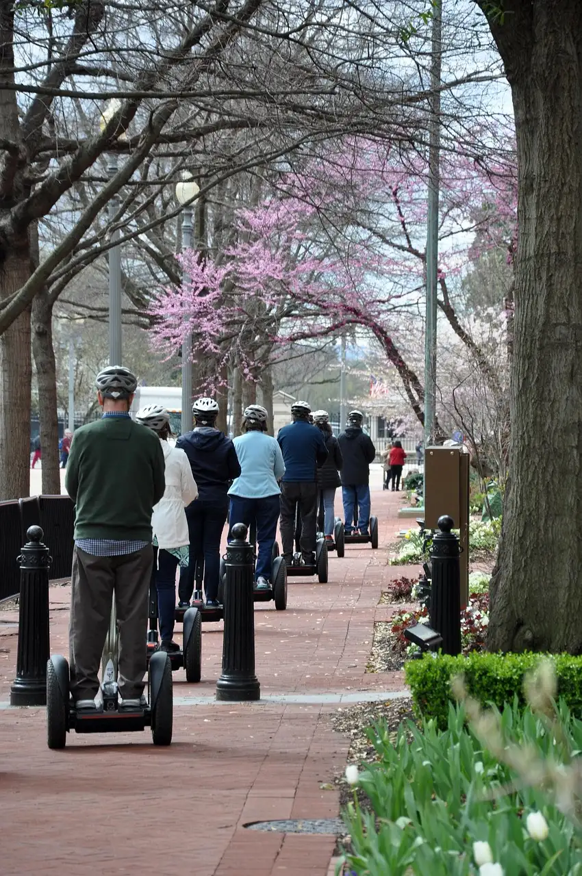 Segway riders in a line on a tree-lined promenade, seen from behind