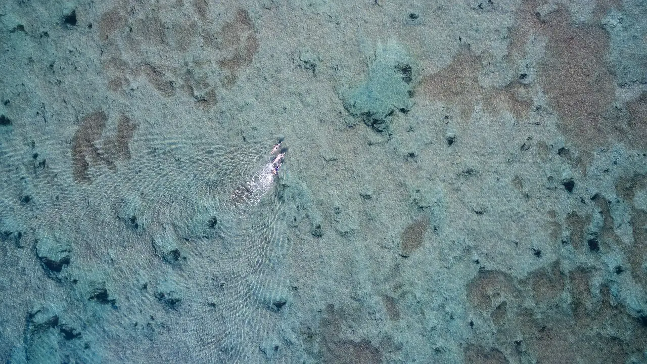 A swimmer seen from above over a patchy seabed in clear shallow water