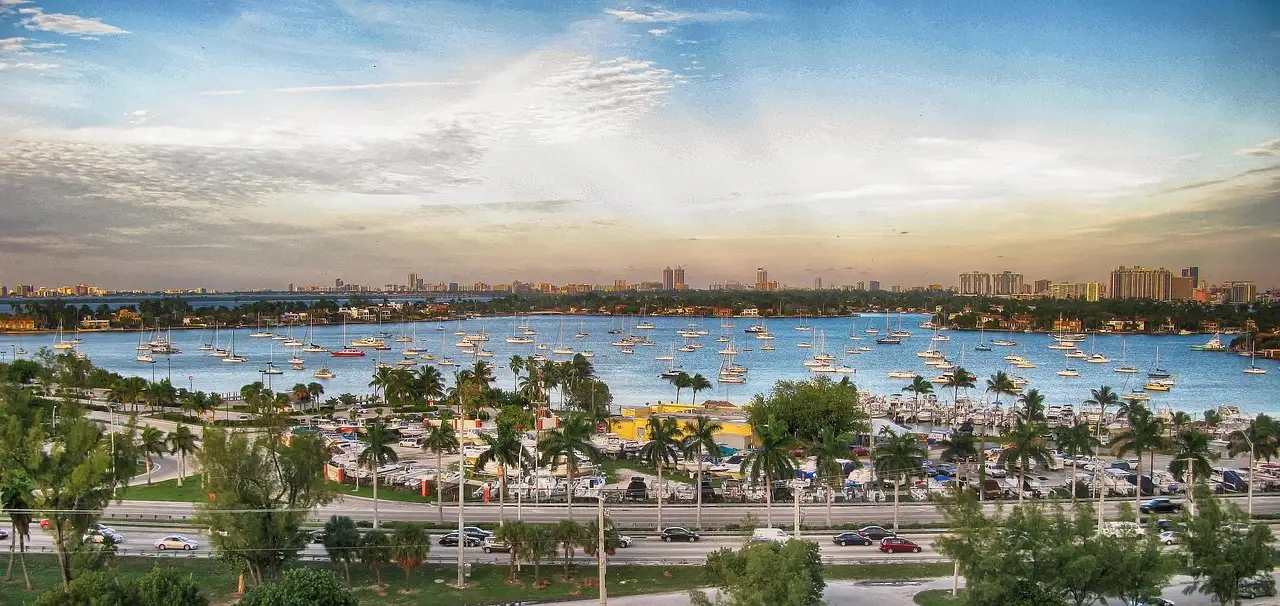 Marina full of boats on Biscayne Bay with palm trees along the shore in Miami