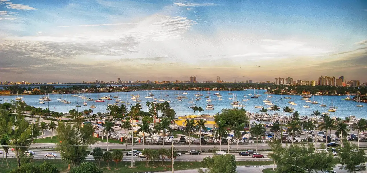 Marina full of boats on Biscayne Bay with palm trees along the shore in Miami