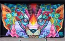 A large, colourful street-art mural of an animal face in Miami